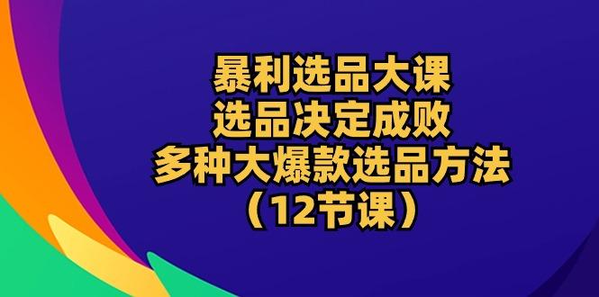 暴利 选品大课:选品决定成败,教你多种大爆款选品方法(12节课-冒泡网