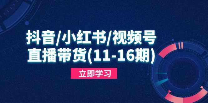 抖音/小红书/视频号/直播带货(11-16期-冒泡网