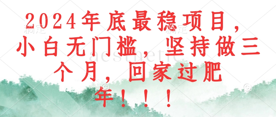 年底最稳项目,小白无门槛,坚持做三个月,回家过肥年!!!-冒泡网