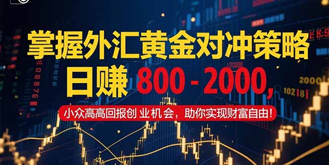 掌握外汇黄金对冲策略,日赚 800 – 2000,小众高回报创业机会,助你实…-冒泡网