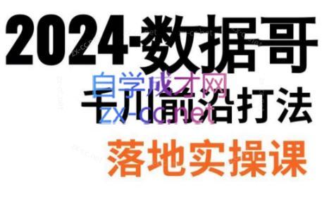 数据哥·年千川前沿打法落地实操课-冒泡网