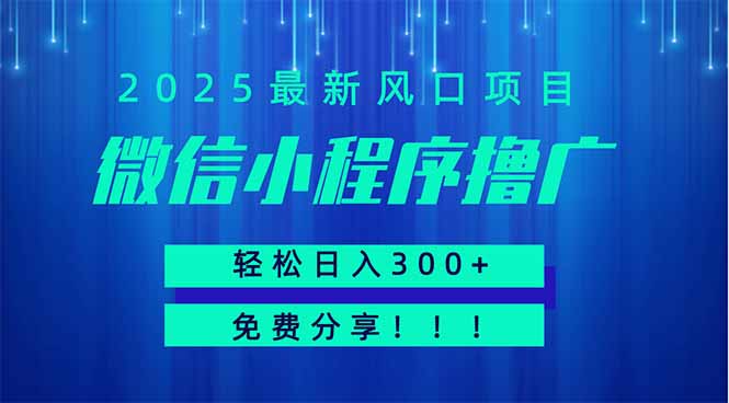 微信小程序撸广，最新风口项目，日入300+ 免费分享 可批量操作 小白可…-冒泡网