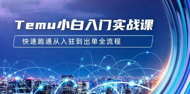 (9295期)Temu小白入门实战课:跨境拼多多电商培训 快速跑通从入驻到出单全流程-12节-冒泡网