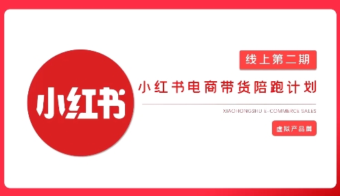 2025小红书虚拟电商实战课-冒泡网