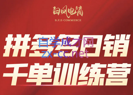 白凤电商·拼多多日销千单训练营(更新7月)-冒泡网