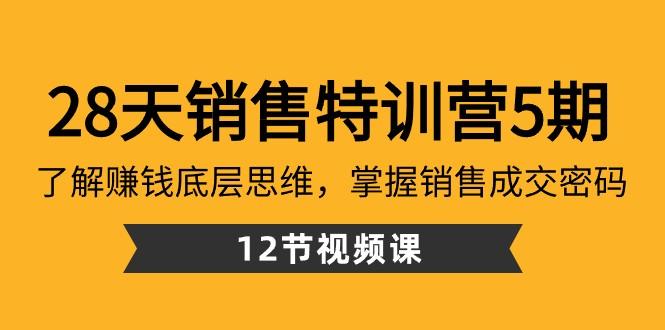 28天销售特训营5期:了解赚钱底层思维,掌握销售成交密码(12节课)-冒泡网