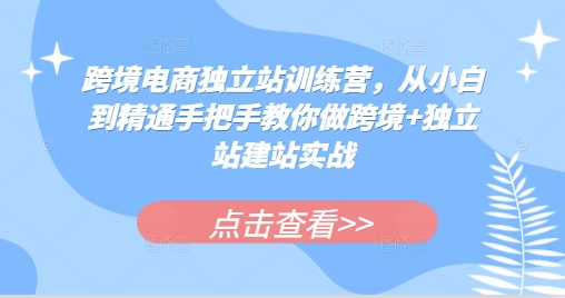 跨境电商独立站训练营,从小白到精通手把手教你做跨境+独立站建站实战-冒泡网