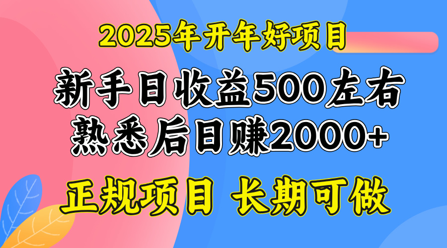 2025开年好项目,单号日收益2000左右-冒泡网