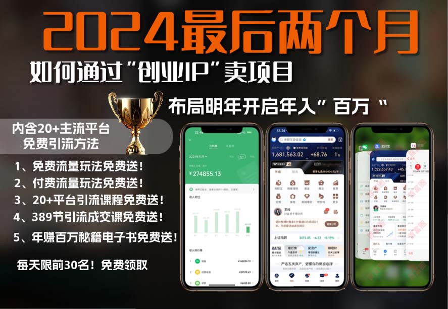 最后两个月如何通过”创业IP“卖项目年入”百万“,创业IP+最强引流…-冒泡网