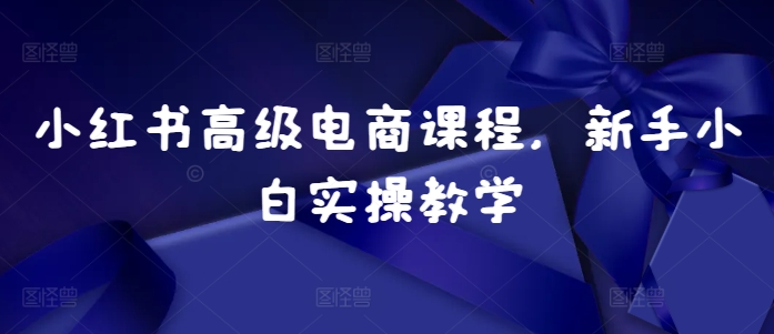 小红书高级电商课程,新手小白实操教学-冒泡网