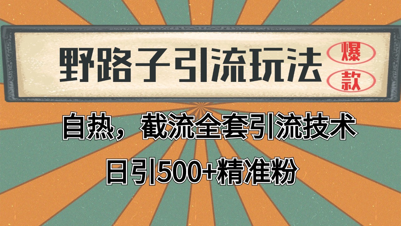 首发野路子引流玩法截流自热全平台打法,全自动引流【日引2000+精准客户】-冒泡网