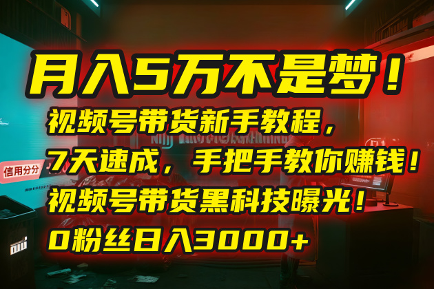 月入5万不是梦!视频号带货新手教程,7天速成,手把手教你赚钱!视频号…-冒泡网