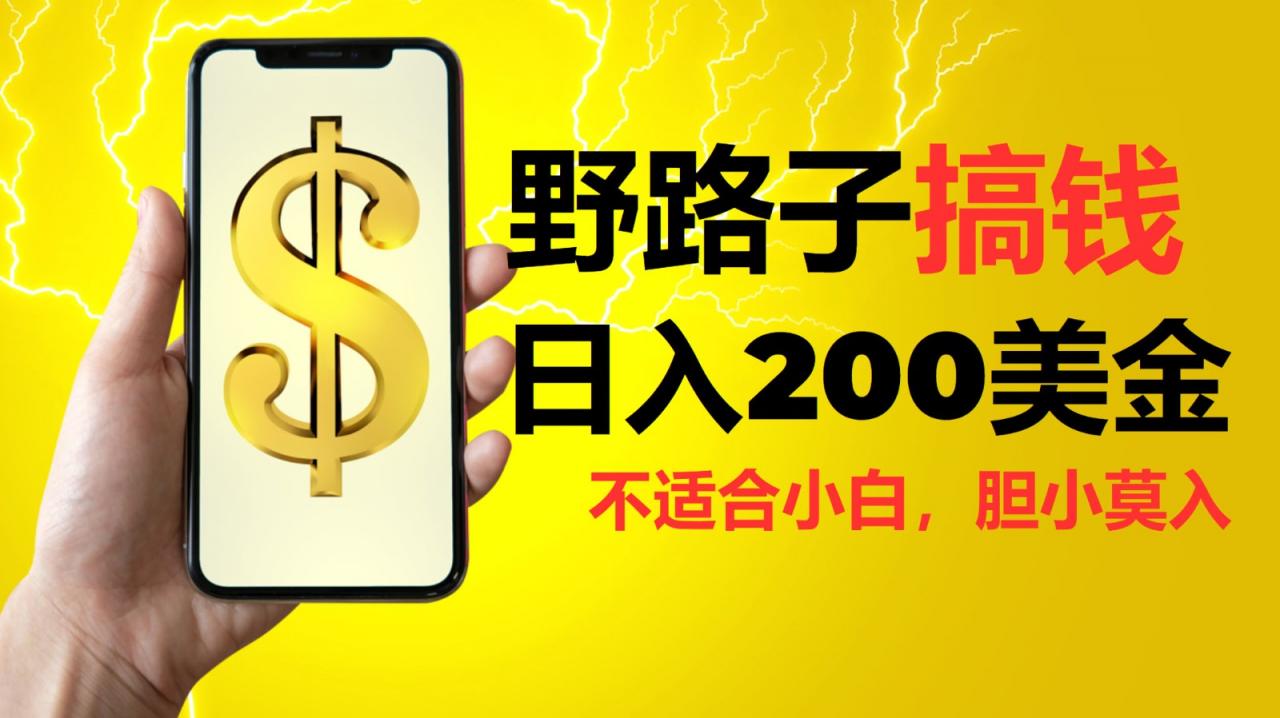 挂机野路子搞钱，日入200美金，路子很野，小白莫入-冒泡网
