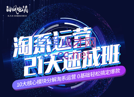 淘系运营21天速成班(更新7月)-冒泡网