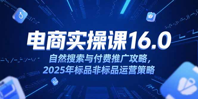 淘宝电商运营课16.0,自然搜索与付费推广攻略,2025年标品非标品运营策略-冒泡网
