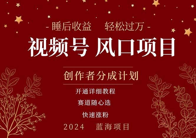 拥有睡眠收益的微信视频号大风口项目,轻松月入过万+,多赛道选择,可…-冒泡网