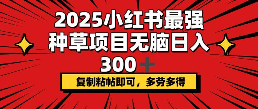 2025小红书最强种草项目,无脑日入300+,复制粘帖即可,多劳多得-冒泡网