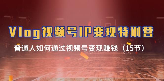 Vlog 视频号IP变现特训营,普通人如何通过视频号变现赚钱(15节-冒泡网