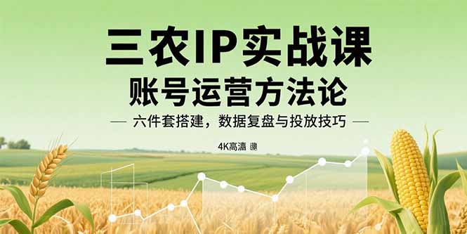 三农IP实战课:账号运营方法论,六件套搭建,数据复盘与投放技巧-冒泡网