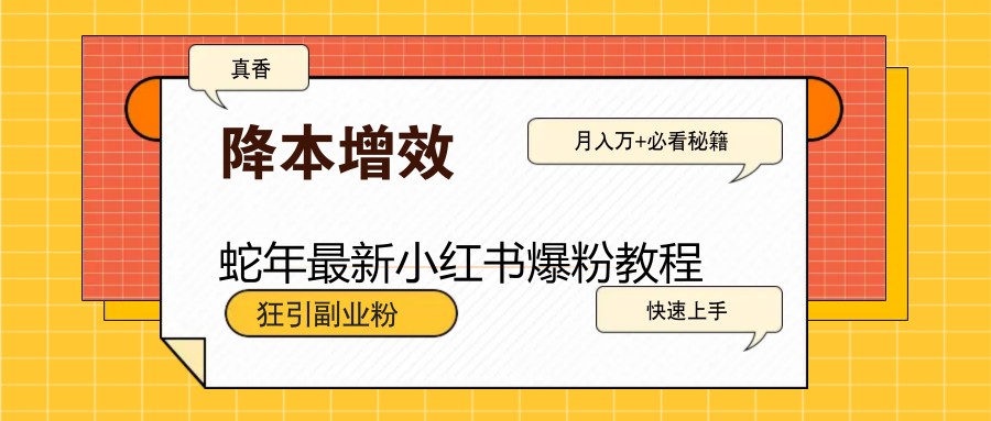 蛇年最新小红书爆粉教程,狂引副业粉,月入万+必看-冒泡网