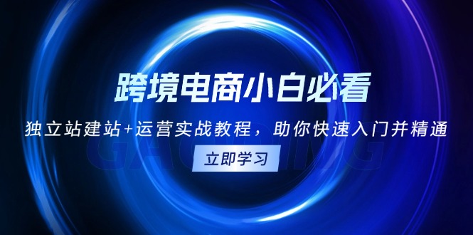跨境电商小白必看!独立站建站+运营实战教程,助你快速入门并精通-冒泡网