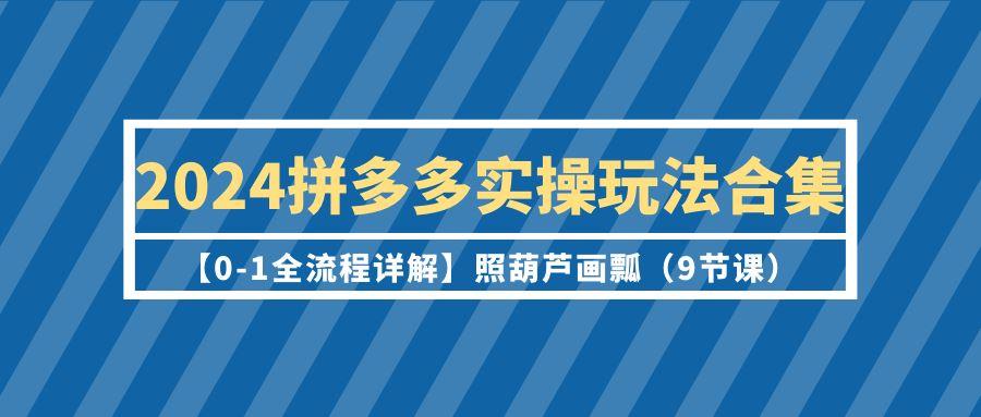 (9559期)拼多多实操玩法合集【0-1全流程详解】照葫芦画瓢(9节课)-冒泡网