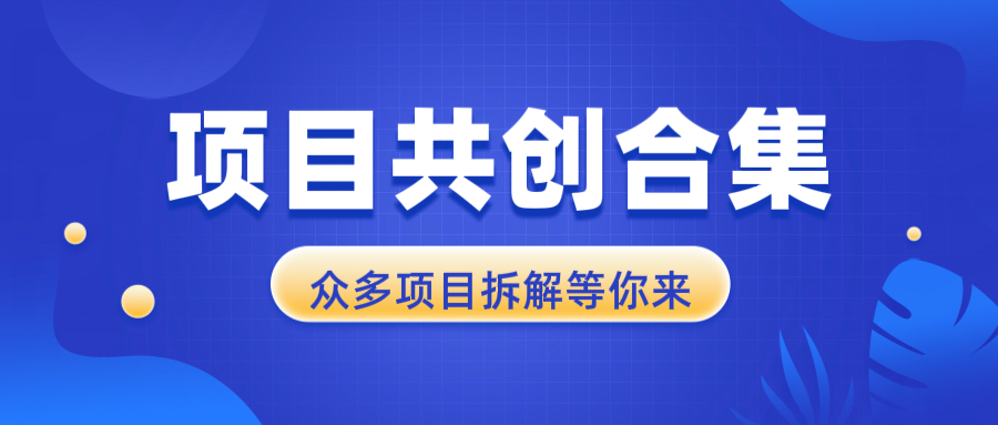 项目共创合集,从0-1全过程拆解,让你迅速找到适合自已的项目-冒泡网