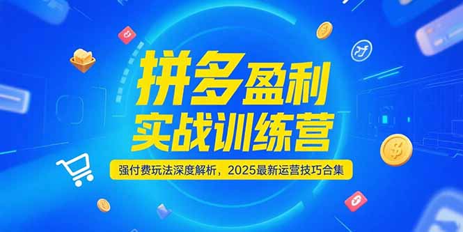 拼多多盈利实战训练营,强付费玩法深度解析,2025运营技巧合集-更新6月-冒泡网