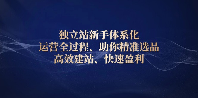 独立站新手体系化 运营全过程,助你精准选品、高效建站、快速盈利-冒泡网