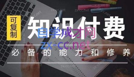 君哥·IP合伙人知识付费虚拟项目(更新24年6月)-冒泡网