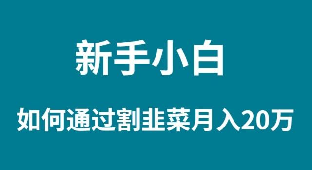 (9308期)新手小白如何通过割韭菜月入 20W-冒泡网