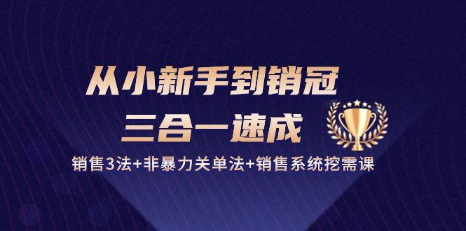 从小新手到销冠 三合一速成:销售3法+非暴力关单法+销售系统挖需课 (27节-冒泡网