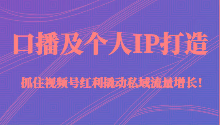 口播及个人IP打造,抓住视频号红利撬动私域流量增长!(45节课)-冒泡网