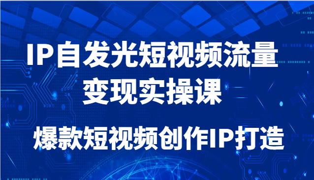 IP自发光短视频流量变现实操课,爆款短视频创作IP打造-冒泡网