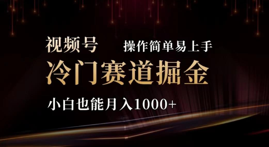 视频号冷门赛道掘金，操作简单轻松上手，小白也能月入1000+-冒泡网