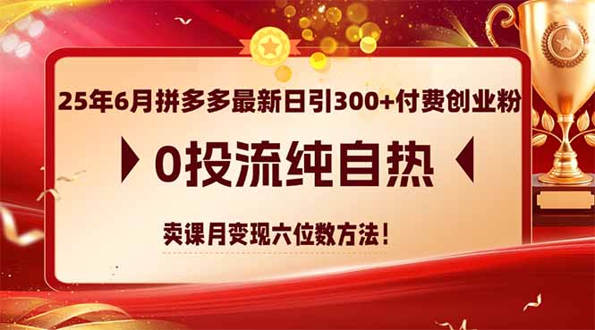 25年6月拼多多最新日引300+付费创业粉,0投流纯自热 卖课月变现六位数方法-冒泡网