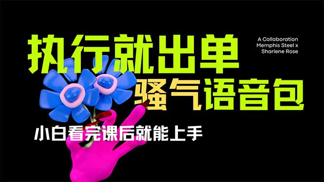 爆火全网的开车导航骚气语音包,只要执行就出单，小白看完课程就能实操…-冒泡网