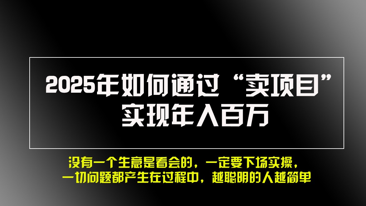 2025年如何通过“卖项目”实现年入百万-冒泡网