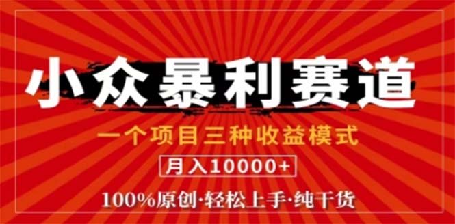 视频号最新爆火赛道，三种可收益模式，0粉新号条条原创条条热门 日入1000+-冒泡网