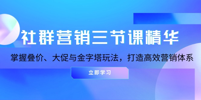 社群营销三节课精华:掌握叠价、大促与金字塔玩法,打造高效营销体系-冒泡网