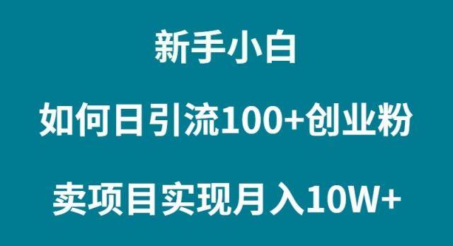 (9556期)新手小白如何通过卖项目实现月入10W+-冒泡网
