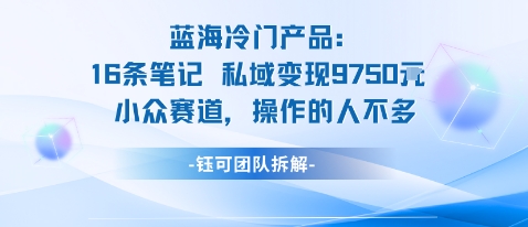 蓝海项目:16条笔记私域变现9750米小众赛道操作的人不多-冒泡网