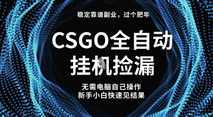 【稳定副业】全球最热门游戏CSGO全自动捡漏，最新玩法，新手小白日入5张+【揭秘】-冒泡网