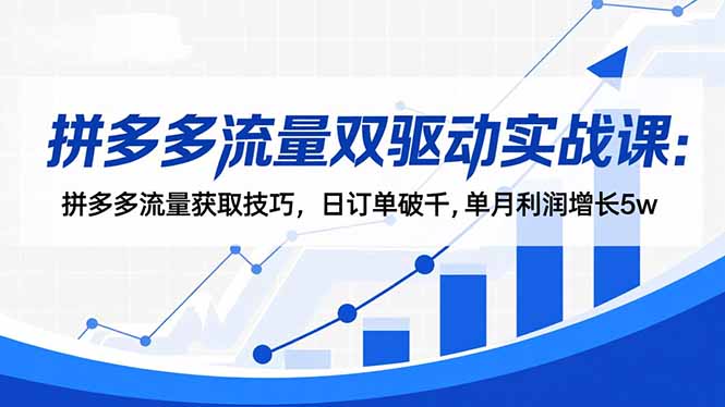 拼多多流量双驱动实战课：拼多多流量获取技巧，日订单破千,单月利润增长5w-冒泡网