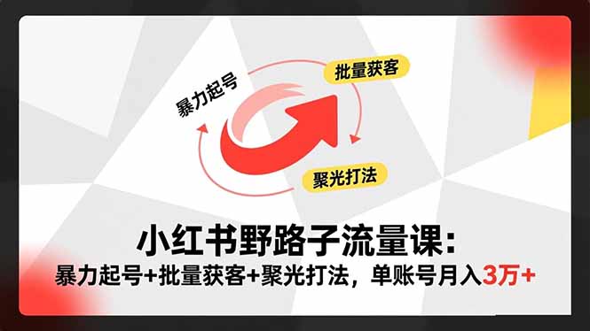 小红书野路子流量课：暴力起号+批量获客+聚光打法，单账号月入3万+-冒泡网