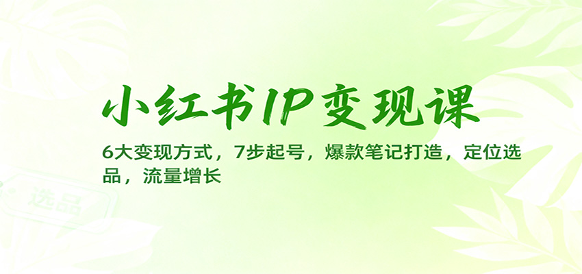 小红书IP变现课:6大变现方式,7步起号,爆款笔记打造,定位选品,流量增长-冒泡网