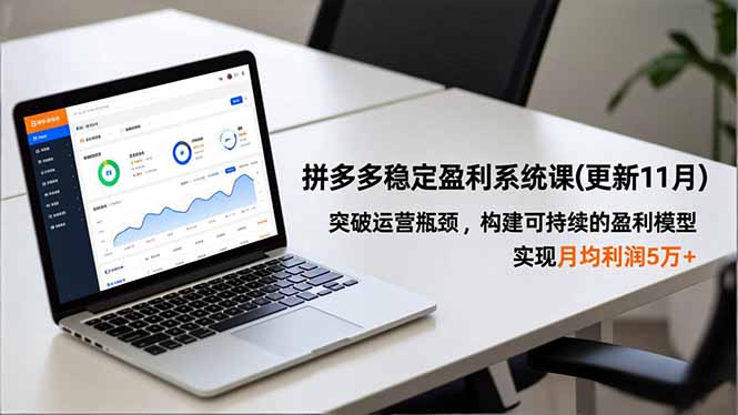 拼多多稳定盈利系统课(更新11月-冒泡网