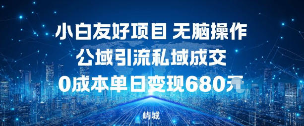 小白友好项目,无脑操作,公域引流私域成交,0成本单日变现680米-冒泡网