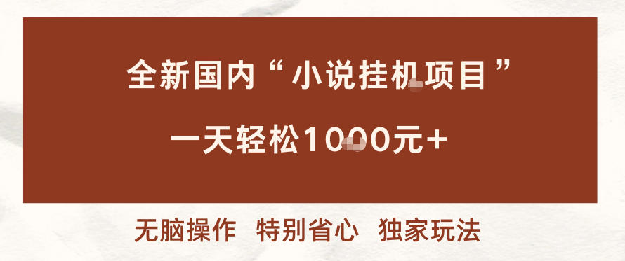全新国内小说挂G项目，多窗口无脑跑，一天轻松1k+，特别省心【揭秘】-冒泡网
