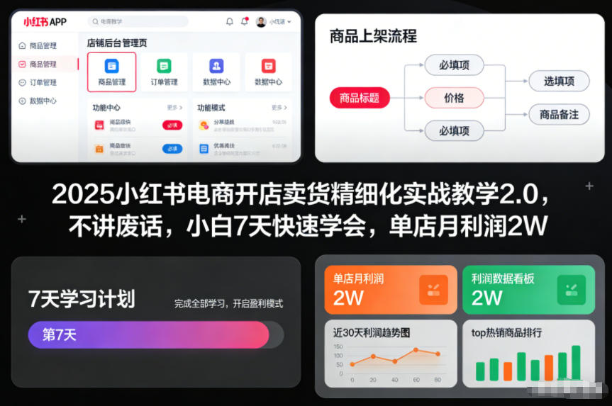 2025小红书电商开店卖货精细化实战教学2.0,不讲废话,小白7天快速学会,单店月利润2W-冒泡网
